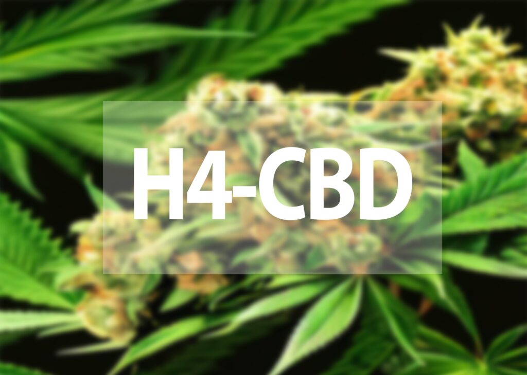 H4CBD - prírodný liek s veľkým potenciálom